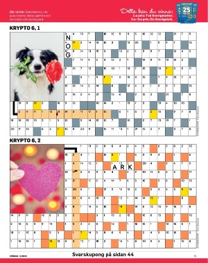 sondag-20260207_000_00_00_031.pdf