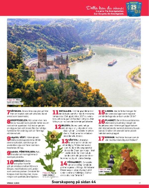 sondag-20260207_000_00_00_037.pdf