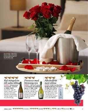 sondag-20260207_000_00_00_059.pdf