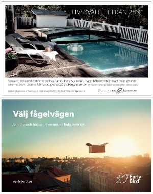 sondag-20260207_000_00_00_068.pdf