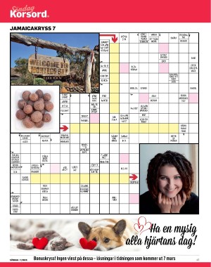 sondag-20260214_000_00_00_047.pdf