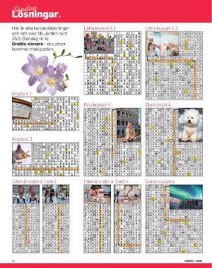 sondag-20260214_000_00_00_050.pdf