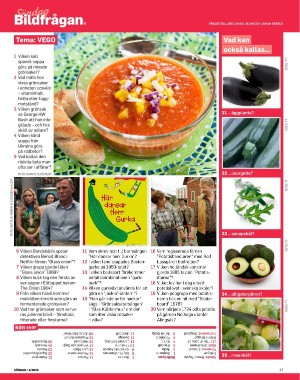 sondag-20260221_000_00_00_047.pdf