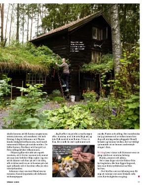 sondag-20260221_000_00_00_057.pdf