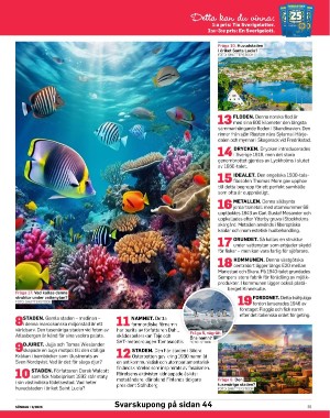 sondag-20260228_000_00_00_035.pdf