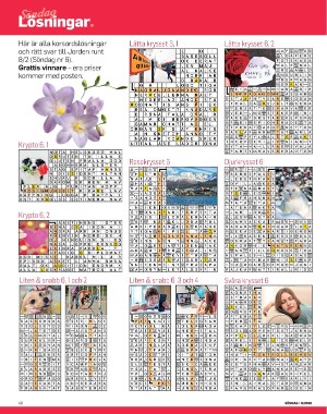 sondag-20260228_000_00_00_048.pdf