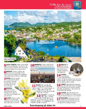 sondag-20260307_000_00_00_037.pdf