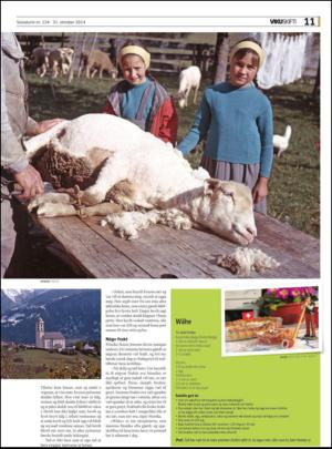 sosialurin_bilag-20141029_000_00_00_011.pdf