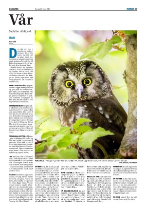 stangeavisa-20250327_000_00_00_027.pdf