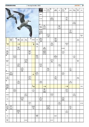 steinkjeravisa-20251009_000_00_00_027.pdf