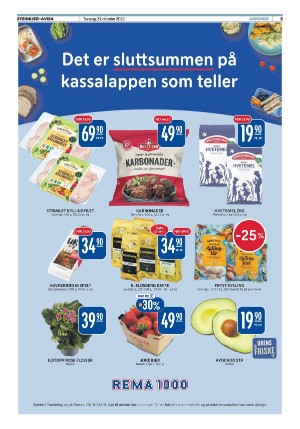 steinkjeravisa-20251023_000_00_00_005.pdf