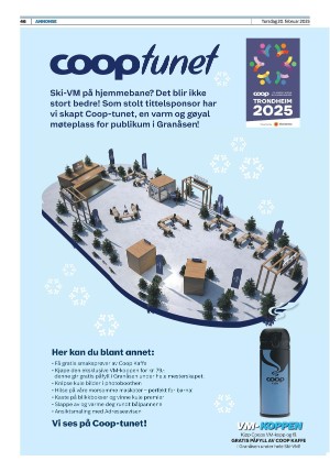steinkjeravisa_bilag-20250220_000_00_00_046.pdf
