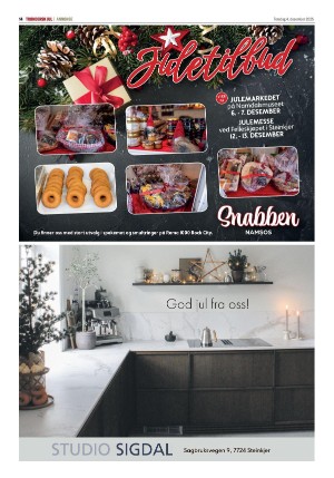 steinkjeravisa_bilag-20251204_000_00_00_014.pdf