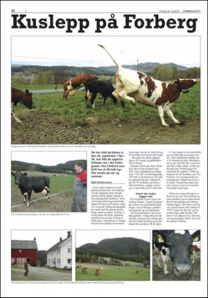 stjordalsnytt-20100526_000_00_00_022.pdf