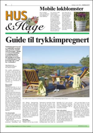 stjordalsnytt-20100602_000_00_00_026.pdf
