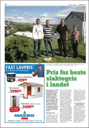 stjordalsnytt-20100609_000_00_00_028.pdf