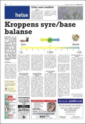 stjordalsnytt-20110112_000_00_00_024.pdf