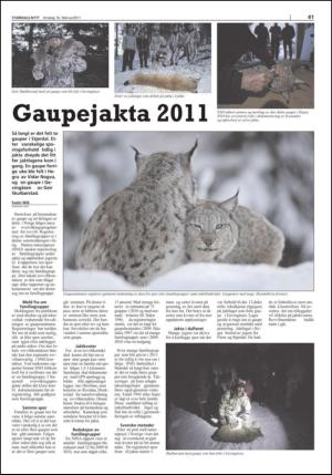 stjordalsnytt-20110216_000_00_00_041.pdf