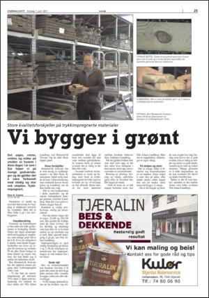 stjordalsnytt-20110601_000_00_00_025.pdf