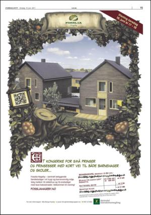 stjordalsnytt-20110615_000_00_00_015.pdf