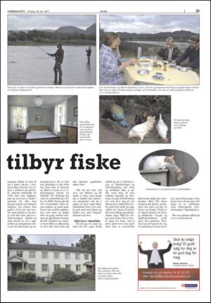 stjordalsnytt-20110629_000_00_00_035.pdf