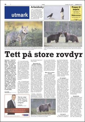 stjordalsnytt-20110720_000_00_00_038.pdf