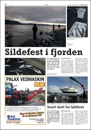 stjordalsnytt-20111012_000_00_00_020.pdf