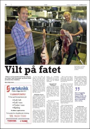 stjordalsnytt-20111102_000_00_00_018.pdf