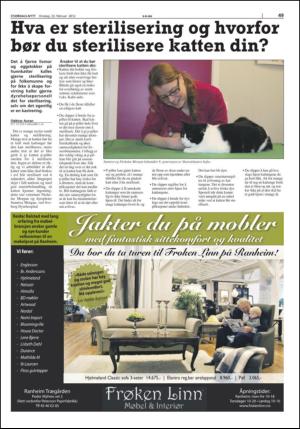 stjordalsnytt-20120222_000_00_00_049.pdf