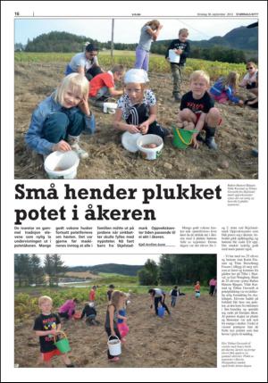 stjordalsnytt-20130918_000_00_00_016.pdf