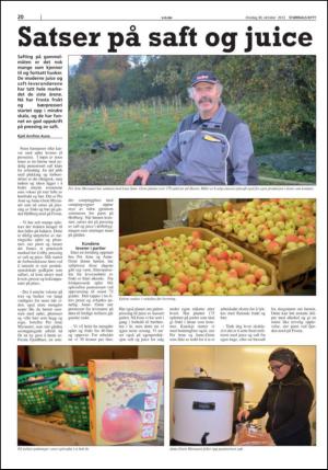 stjordalsnytt-20131030_000_00_00_020.pdf