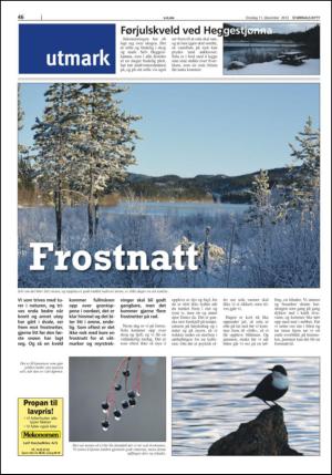 stjordalsnytt-20131211_000_00_00_046.pdf