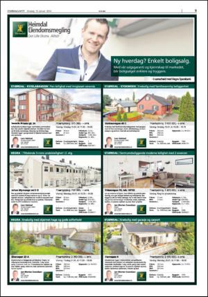 stjordalsnytt-20140115_000_00_00_009.pdf