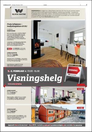 stjordalsnytt-20140129_000_00_00_005.pdf