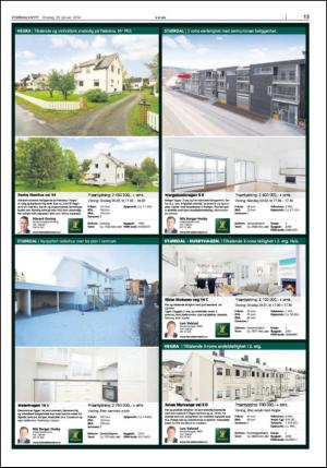 stjordalsnytt-20140129_000_00_00_013.pdf