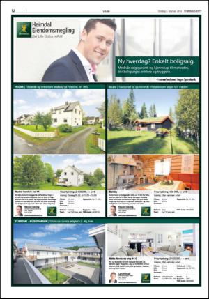 stjordalsnytt-20140205_000_00_00_012.pdf