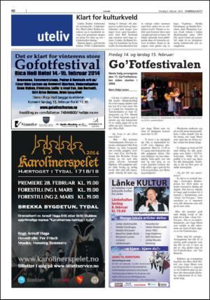 stjordalsnytt-20140205_000_00_00_040.pdf