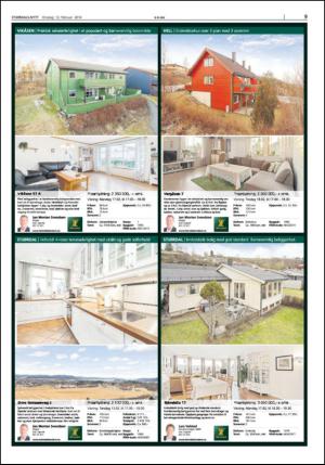 stjordalsnytt-20140212_000_00_00_009.pdf