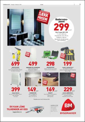 stjordalsnytt-20140219_000_00_00_003.pdf