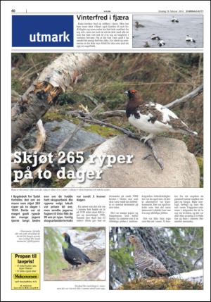stjordalsnytt-20140219_000_00_00_040.pdf