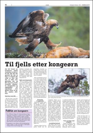 stjordalsnytt-20140226_000_00_00_042.pdf