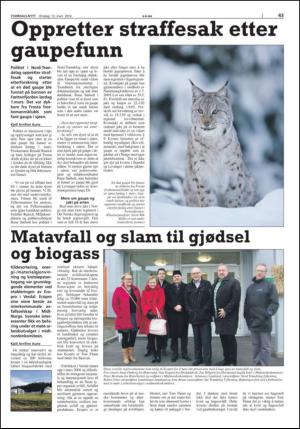stjordalsnytt-20140312_000_00_00_043.pdf