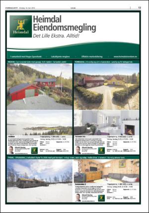 stjordalsnytt-20140514_000_00_00_013.pdf