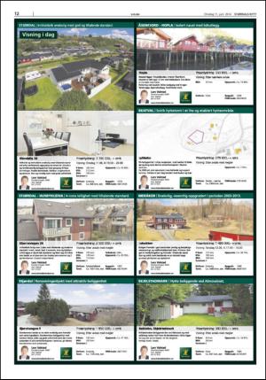 stjordalsnytt-20140611_000_00_00_012.pdf