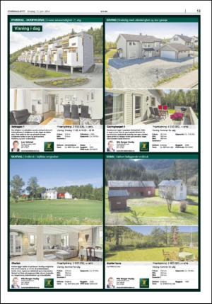 stjordalsnytt-20140611_000_00_00_013.pdf