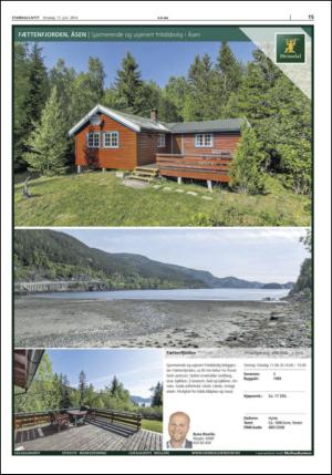 stjordalsnytt-20140611_000_00_00_015.pdf