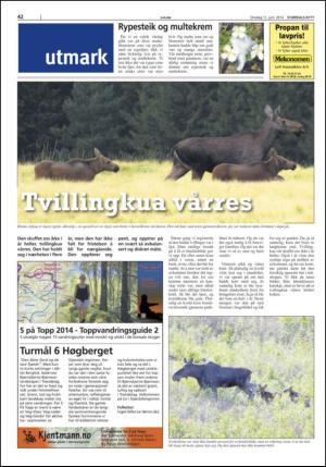 stjordalsnytt-20140611_000_00_00_042.pdf