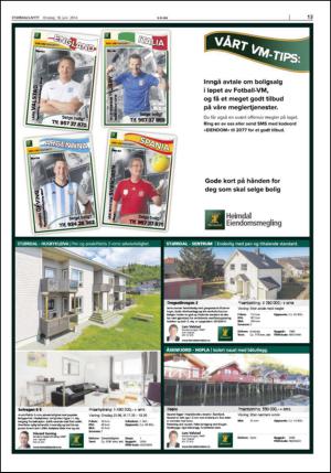 stjordalsnytt-20140618_000_00_00_013.pdf