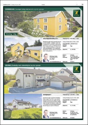 stjordalsnytt-20140618_000_00_00_015.pdf