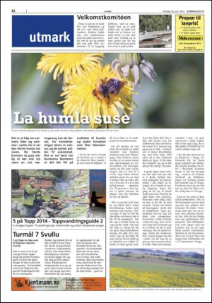 stjordalsnytt-20140618_000_00_00_042.pdf